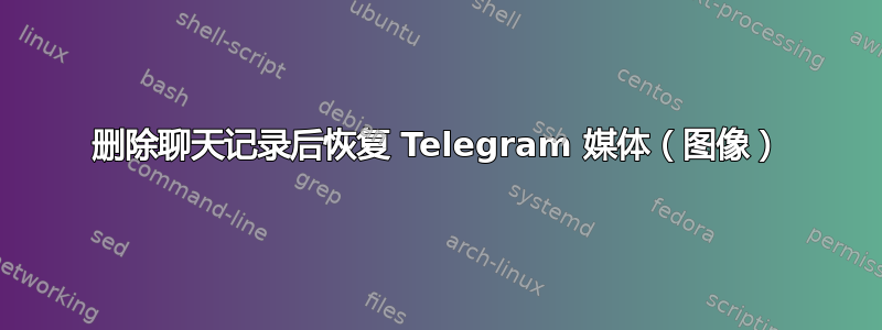 删除聊天记录后恢复 Telegram 媒体（图像）