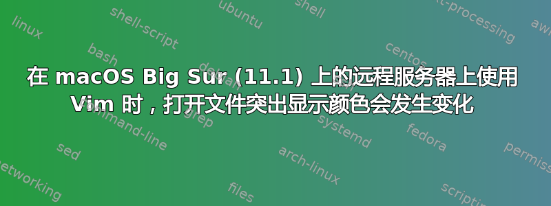 在 macOS Big Sur (11.1) 上的远程服务器上使用 Vim 时，打开文件突出显示颜色会发生变化