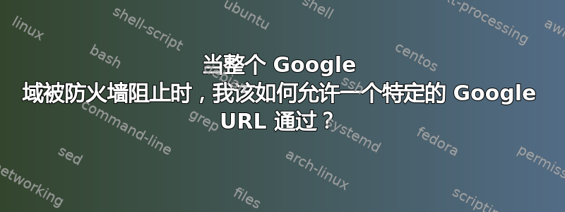 当整个 Google 域被防火墙阻止时，我该如何允许一个特定的 Google URL 通过？