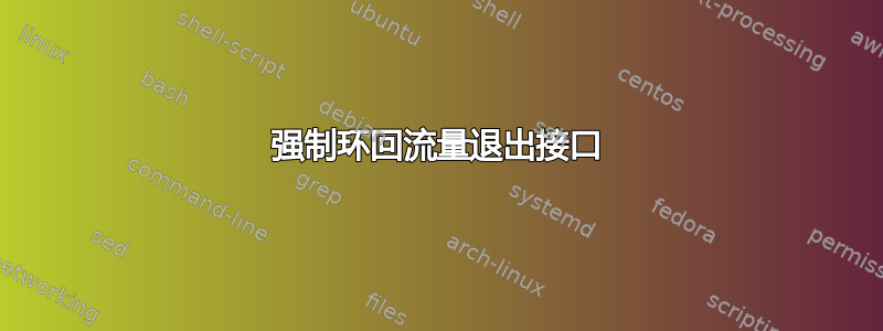 强制环回流量退出接口