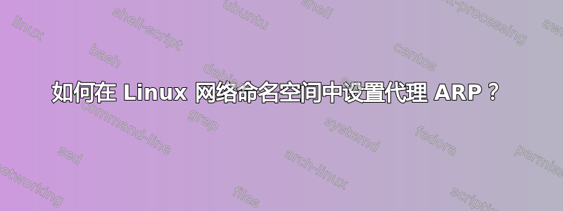 如何在 Linux 网络命名空间中设置代理 ARP？