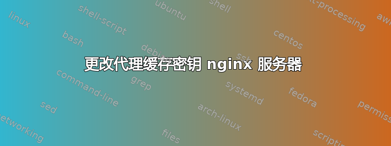 更改代理缓存密钥 nginx 服务器