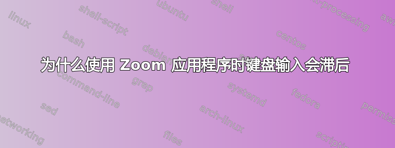 为什么使用 Zoom 应用程序时键盘输入会滞后