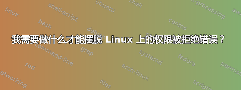 我需要做什么才能摆脱 Linux 上的权限被拒绝错误？