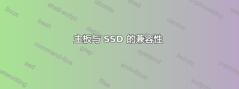 主板与 SSD 的兼容性