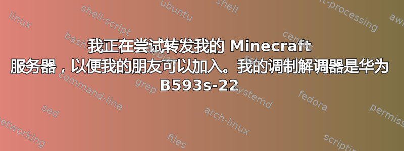 我正在尝试转发我的 Minecraft 服务器，以便我的朋友可以加入。我的调制解调器是华为 B593s-22