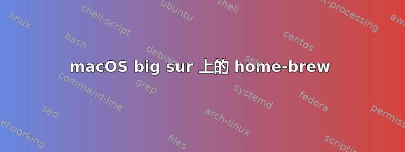 macOS big sur 上的 home-brew