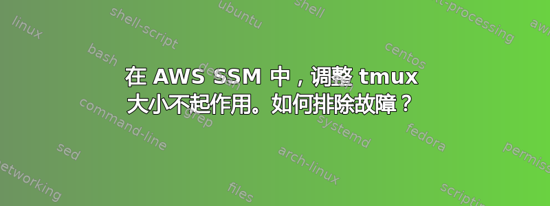 在 AWS SSM 中，调整 tmux 大小不起作用。如何排除故障？