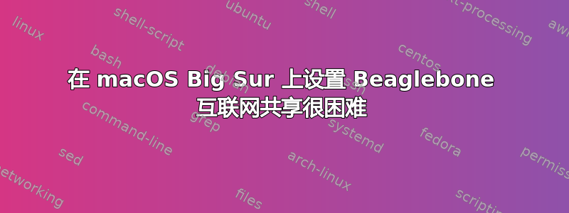 在 macOS Big Sur 上设置 Beaglebone 互联网共享很困难