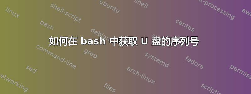 如何在 bash 中获取 U 盘的序列号