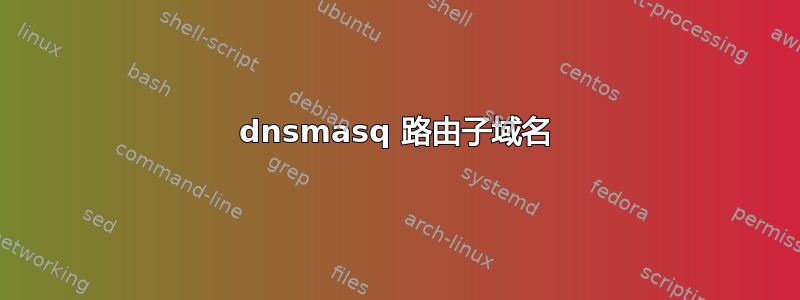 dnsmasq 路由子域名