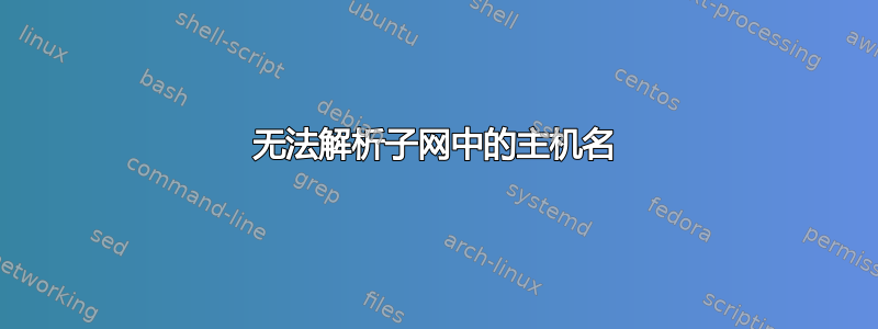 无法解析子网中的主机名