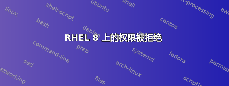 RHEL 8 上的权限被拒绝