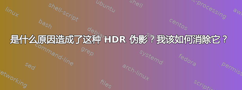 是什么原因造成了这种 HDR 伪影？我该如何消除它？