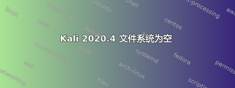 Kali 2020.4 文件系统为空