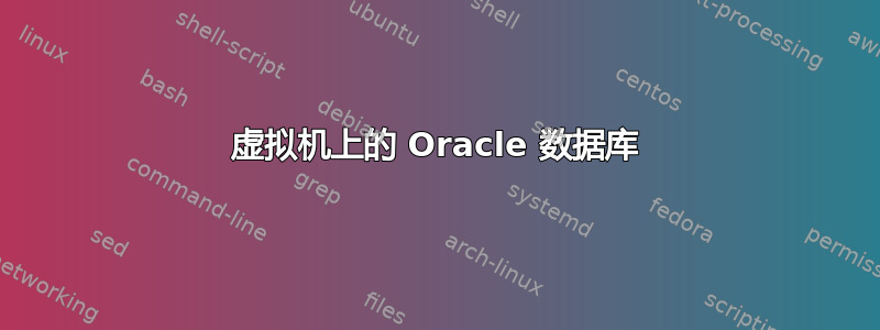 虚拟机上的 Oracle 数据库