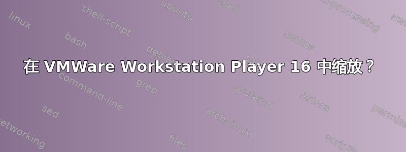 在 VMWare Workstation Player 16 中缩放？