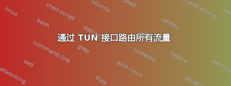 通过 TUN 接口路由所有流量