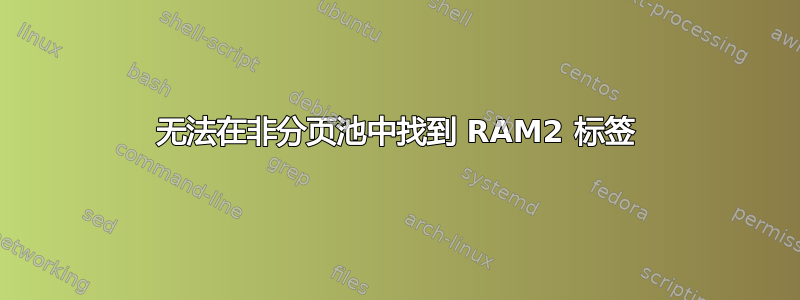 无法在非分页池中找到 RAM2 标签