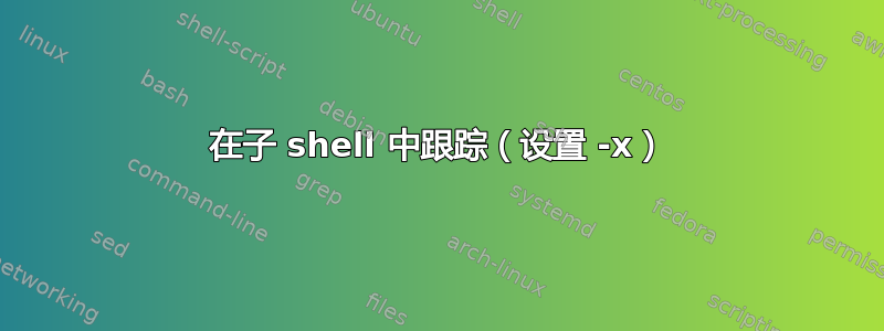 在子 shell 中跟踪（设置 -x）