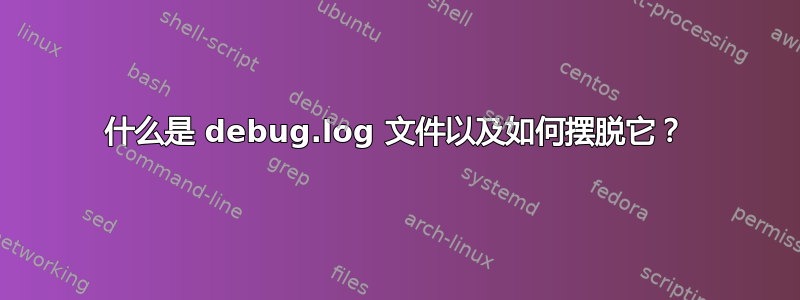 什么是 debug.log 文件以及如何摆脱它？