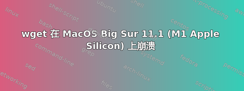 wget 在 MacOS Big Sur 11.1 (M1 Apple Silicon) 上崩溃