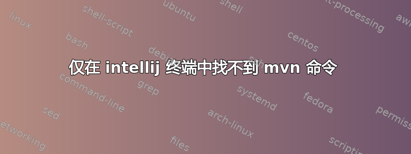 仅在 intellij 终端中找不到 mvn 命令