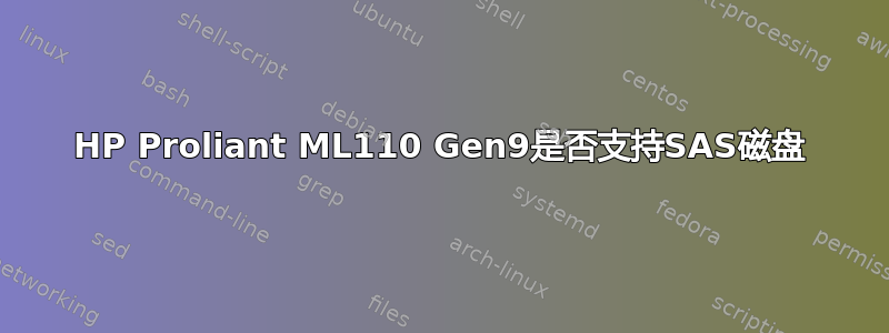 HP Proliant ML110 Gen9是否支持SAS磁盘