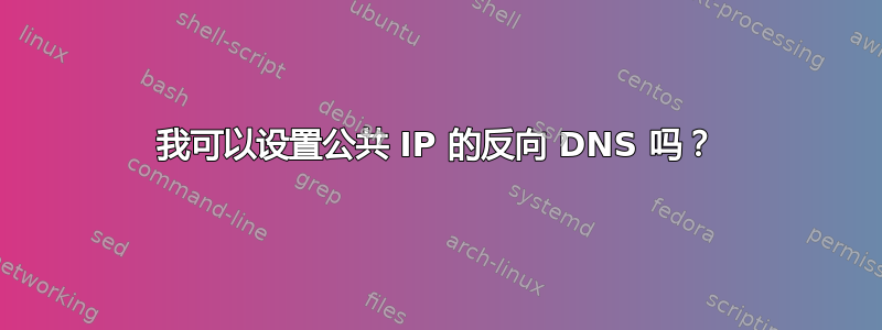 我可以设置公共 IP 的反向 DNS 吗？