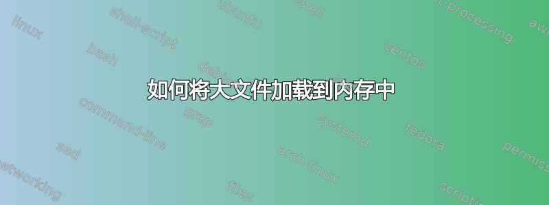 如何将大文件加载到内存中