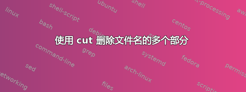 使用 cut 删除文件名的多个部分