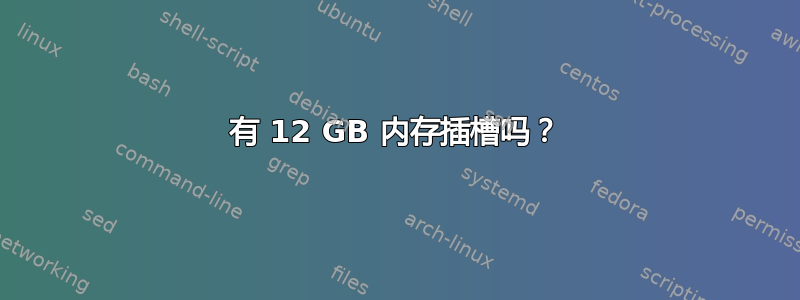 有 12 GB 内存插槽吗？