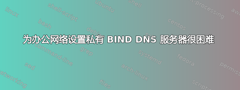 为办公网络设置私有 BIND DNS 服务器很困难