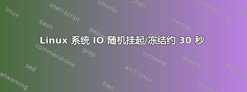 Linux 系统 IO 随机挂起/冻结约 30 秒