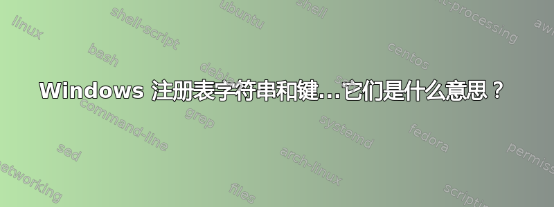 Windows 注册表字符串和键...它们是什么意思？