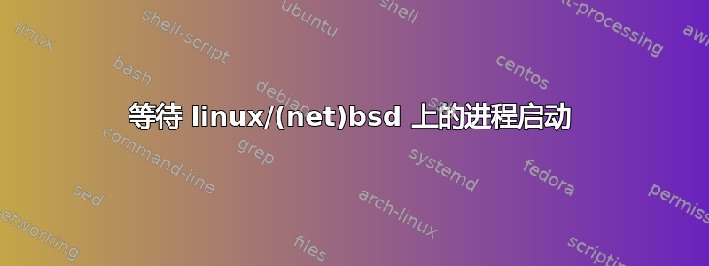 等待 linux/(net)bsd 上的进程启动