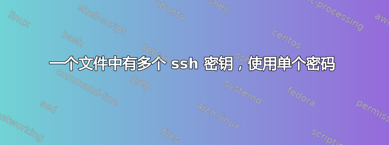 一个文件中有多个 ssh 密钥，使用单个密码