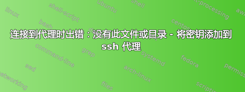 连接到代理时出错：没有此文件或目录 - 将密钥添加到 ssh 代理