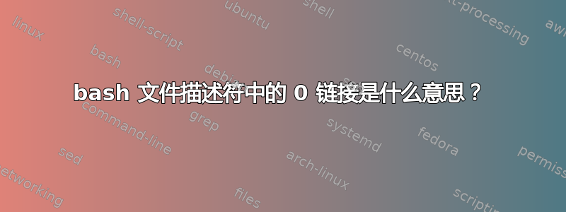 bash 文件描述符中的 0 链接是什么意思？