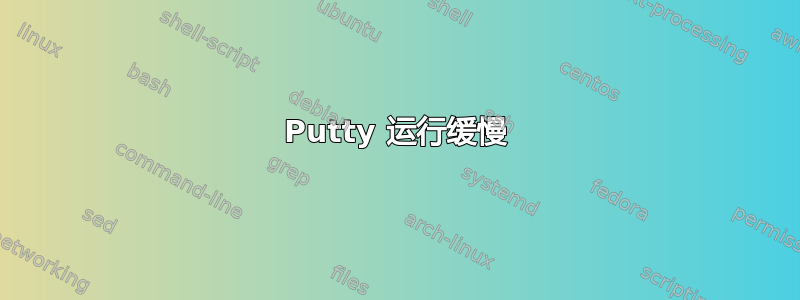 Putty 运行缓慢