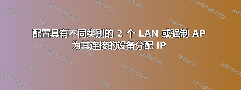 配置具有不同类别的 2 个 LAN 或强制 AP 为其连接的设备分配 IP