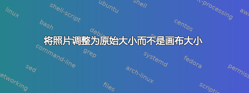 将照片调整为原始大小而不是画布大小