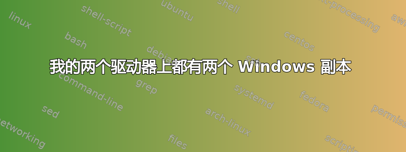 我的两个驱动器上都有两个 Windows 副本