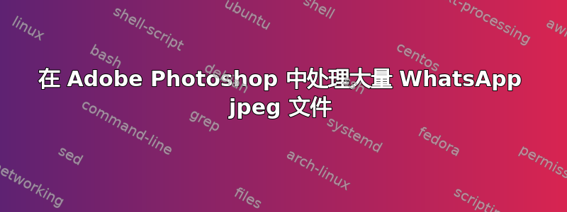 在 Adob​​e Photoshop 中处理大量 WhatsApp jpeg 文件