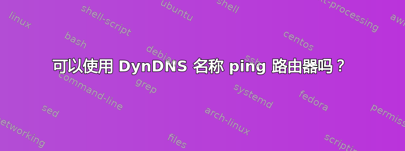 可以使用 DynDNS 名称 ping 路由器吗？