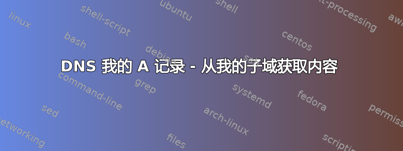 DNS 我的 A 记录 - 从我的子域获取内容