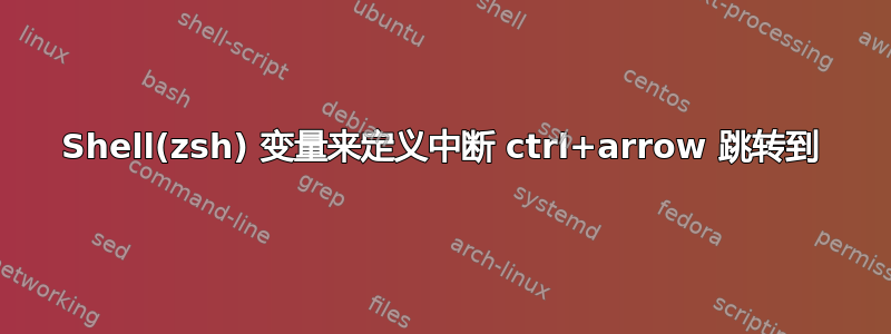 Shell(zsh) 变量来定义中断 ctrl+arrow 跳转到