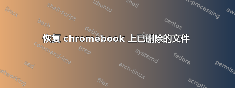 恢复 chromebook 上已删除的文件