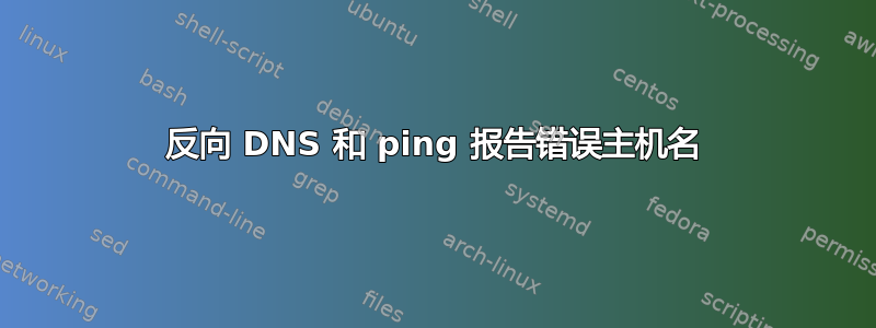 反向 DNS 和 ping 报告错误主机名