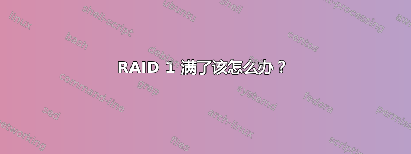 RAID 1 满了该怎么办？